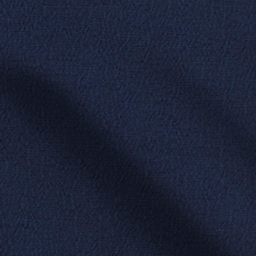 Anshu Indigo