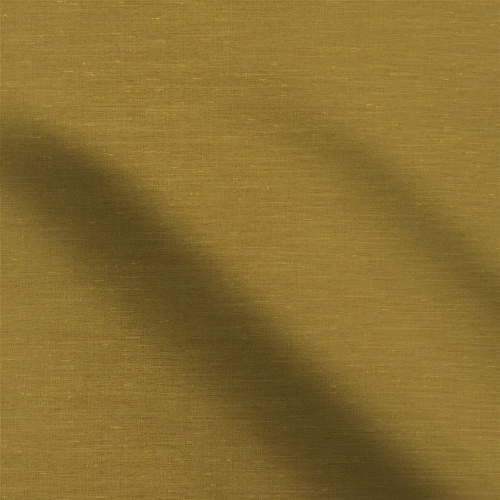 Chaviere Acacia