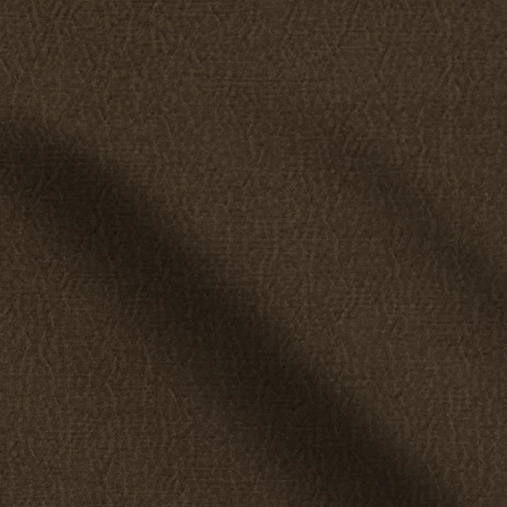 Anshu Cocoa