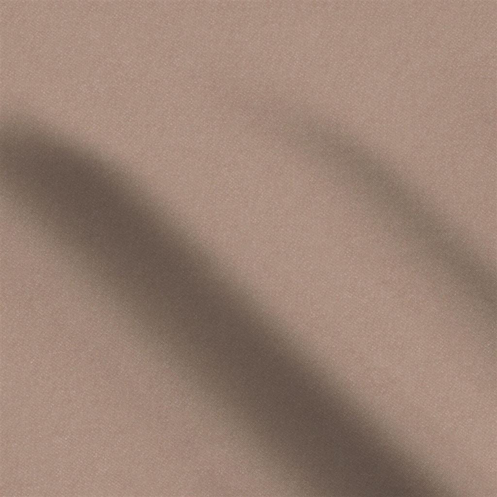 Brinzio Petal