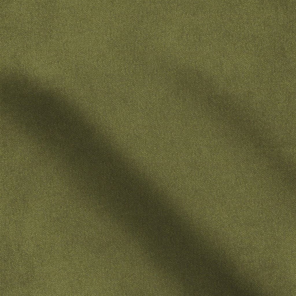 Brinzio Moss