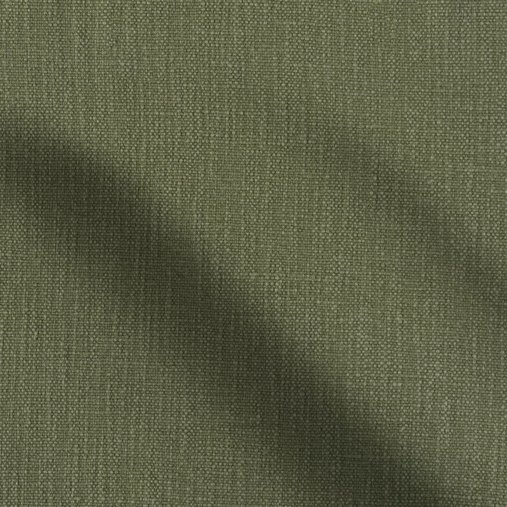 Tortona Cedar