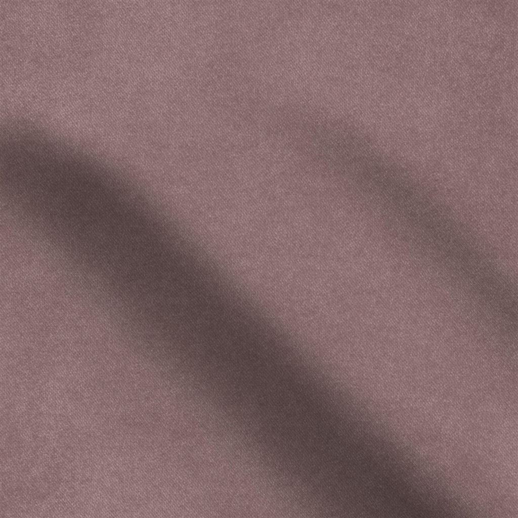 Brinzio Orchid