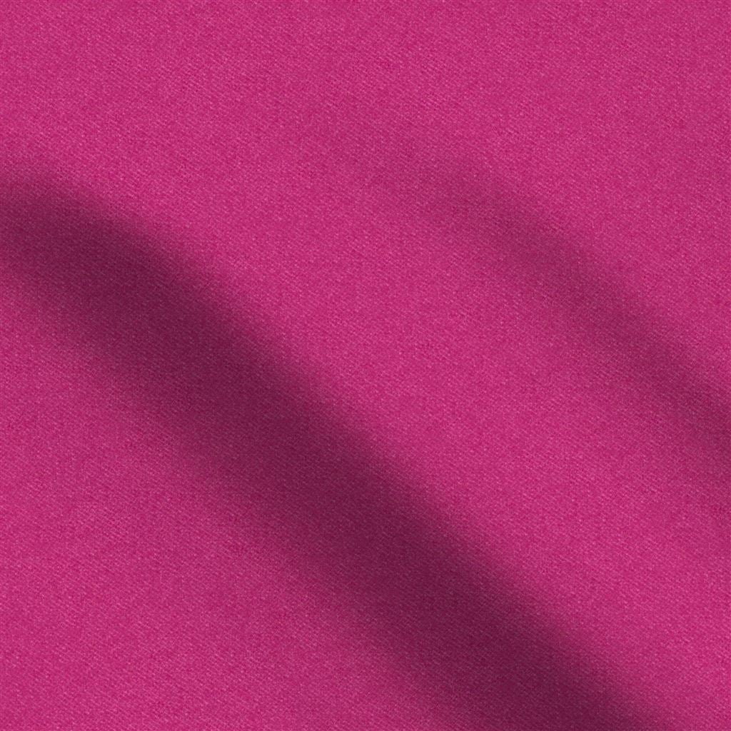 Brinzio Fuchsia
