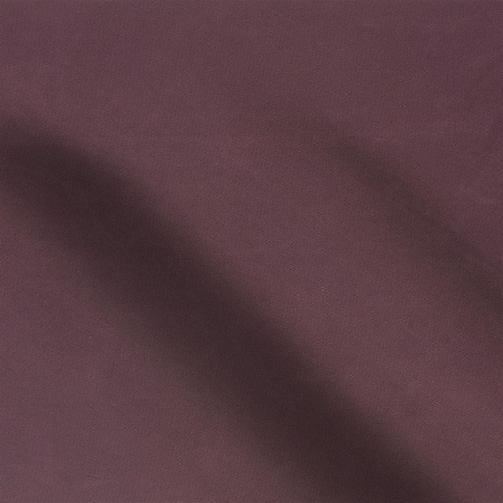 cara - currant