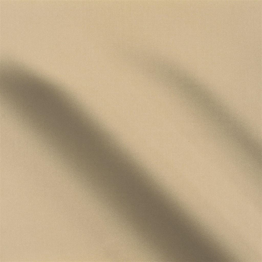 marin - putty