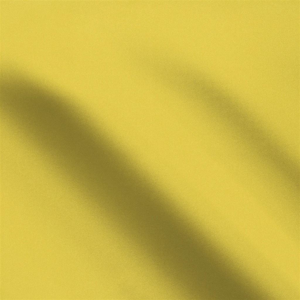 lucente - acacia