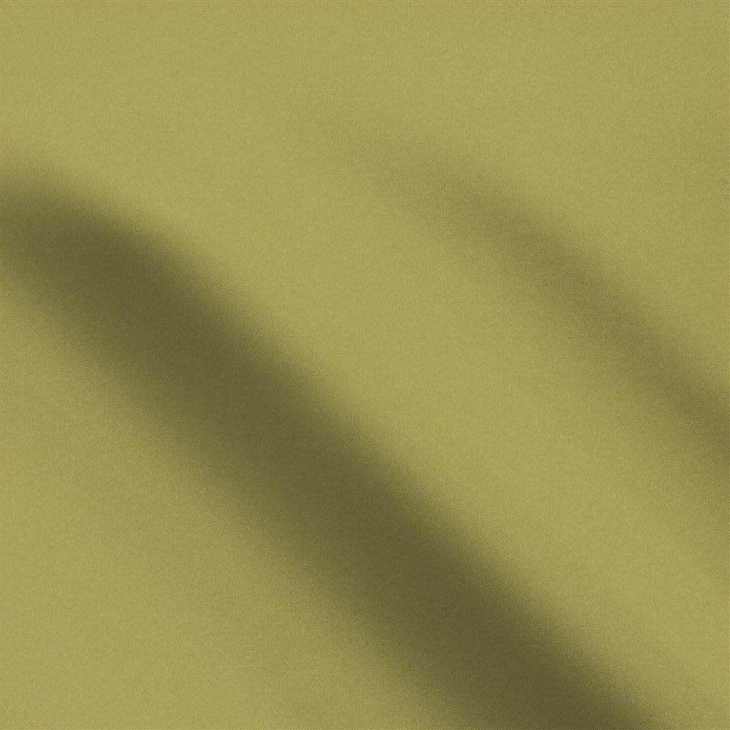 lucente - olive