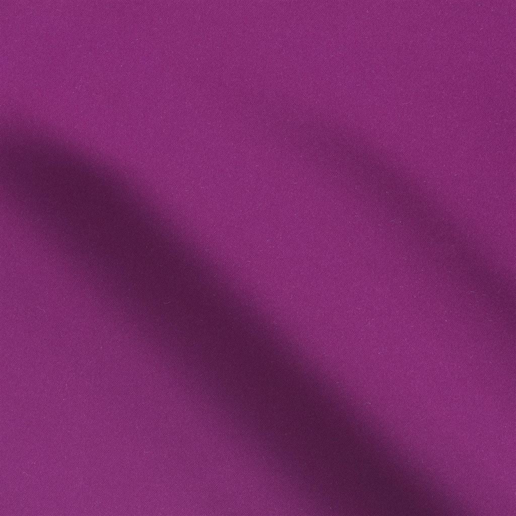 lucente - magenta