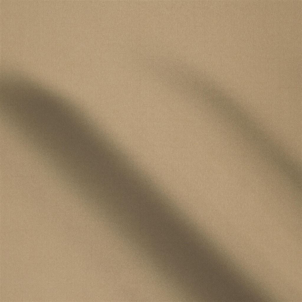 zanardi alta - moleskin