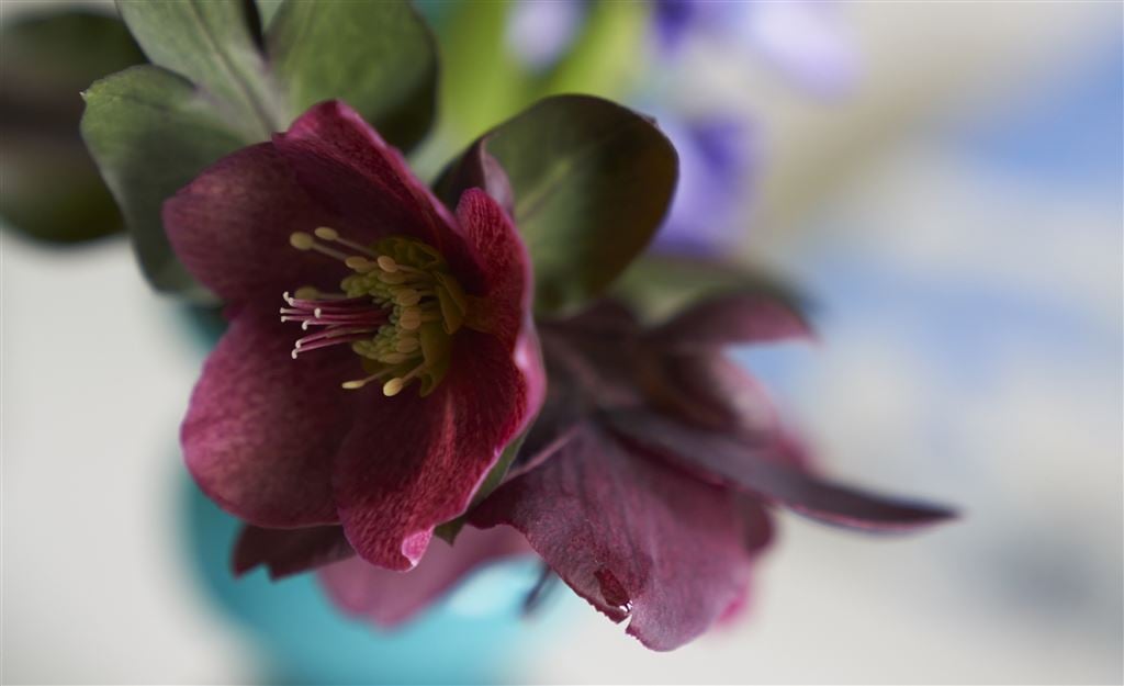 Autumn Design Week | Monday 14th – Friday 20th September              