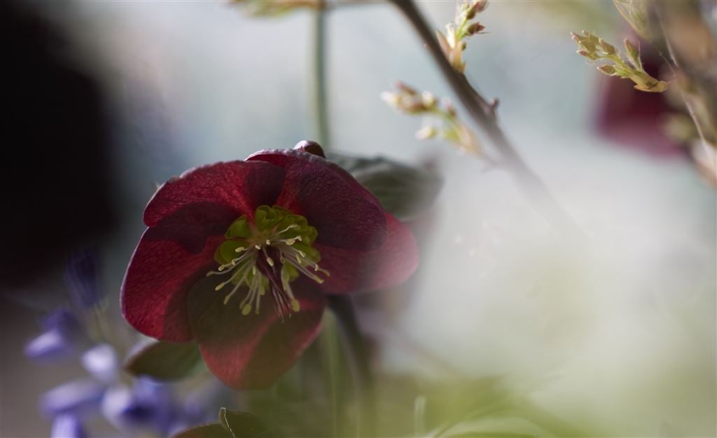 Holland InCoDa  | 21-23 September 2026                                