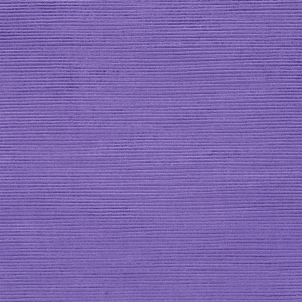 Mesilla - Violet Cutting