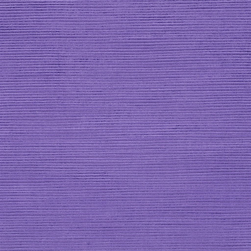 Mesilla - Violet Cutting