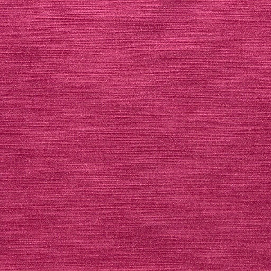 Pampas - Fuchsia Cutting