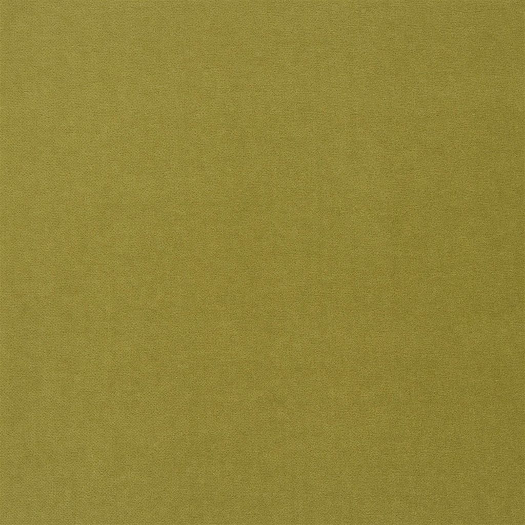 Royal Velvet - Peridot Cutting