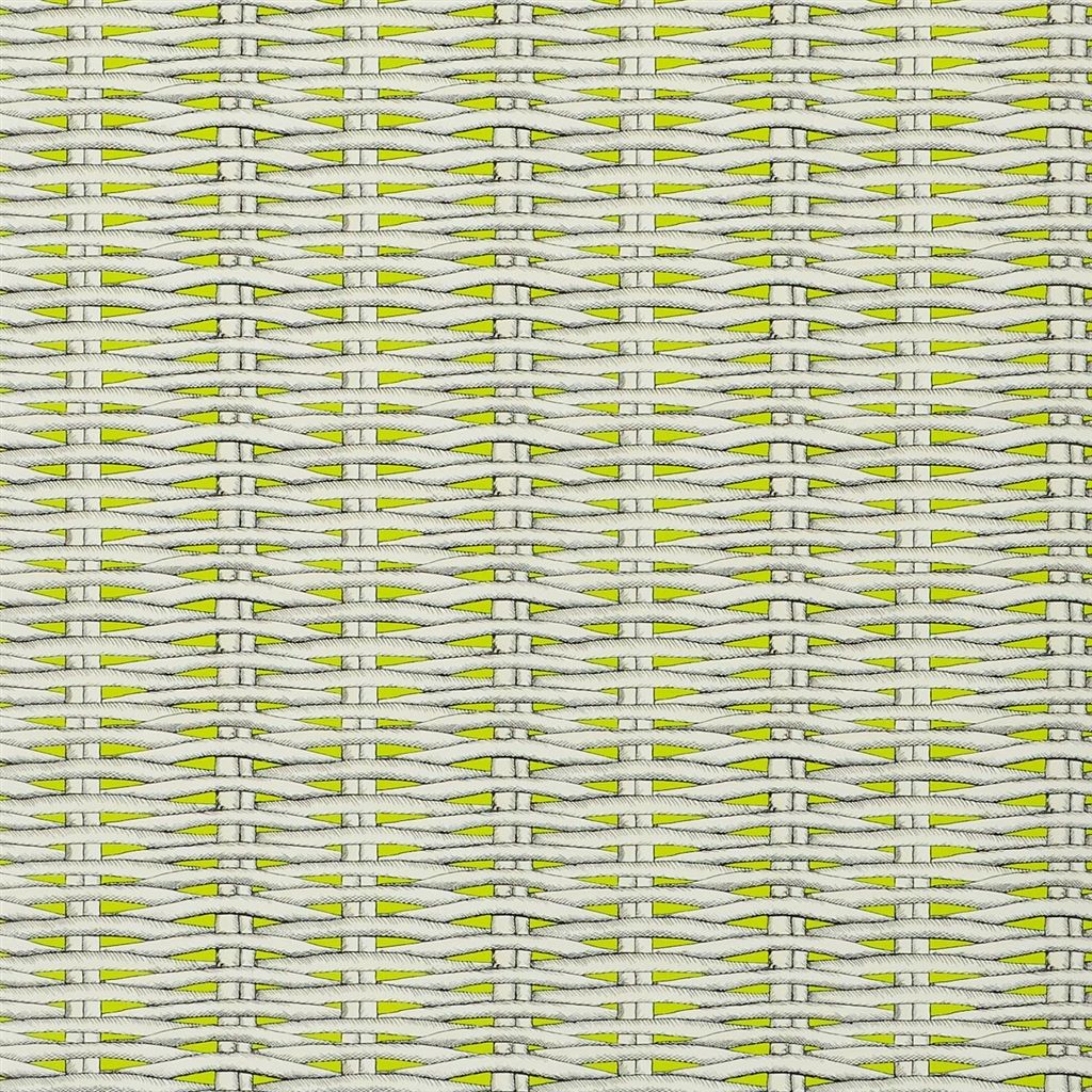 barbade - lime wallpaper
