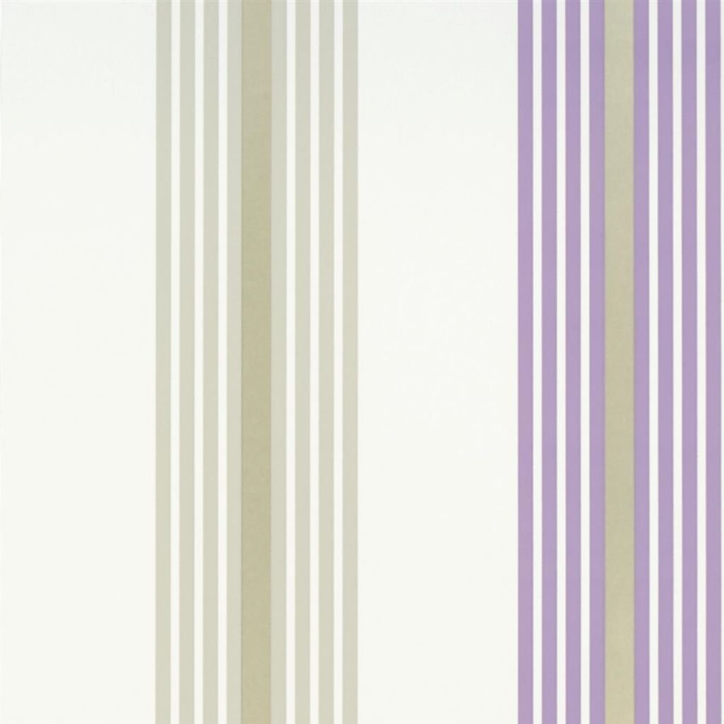 Pembroke - Lavender Cutting
