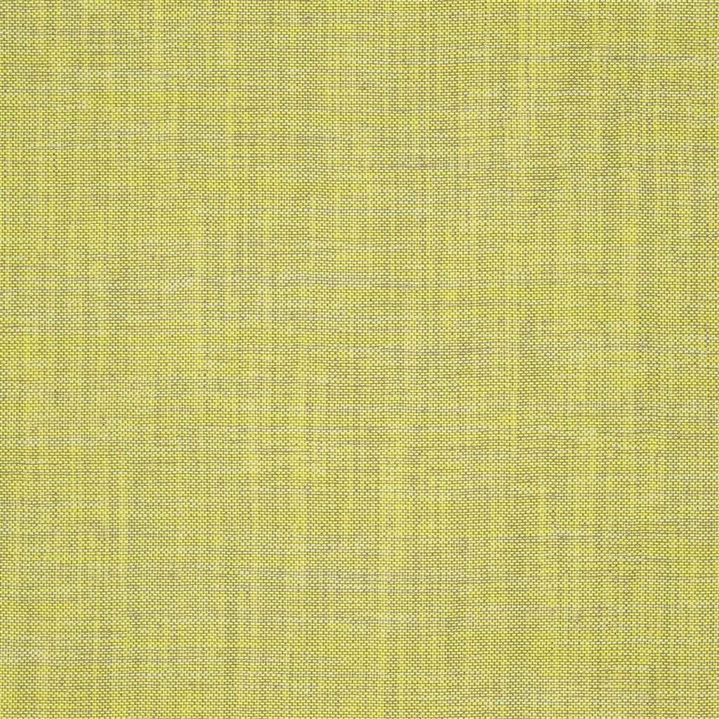 cosia - lime fabric