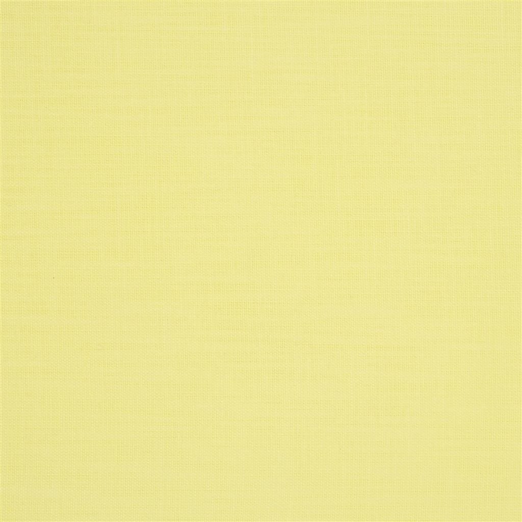 Orba - Primrose Cutting