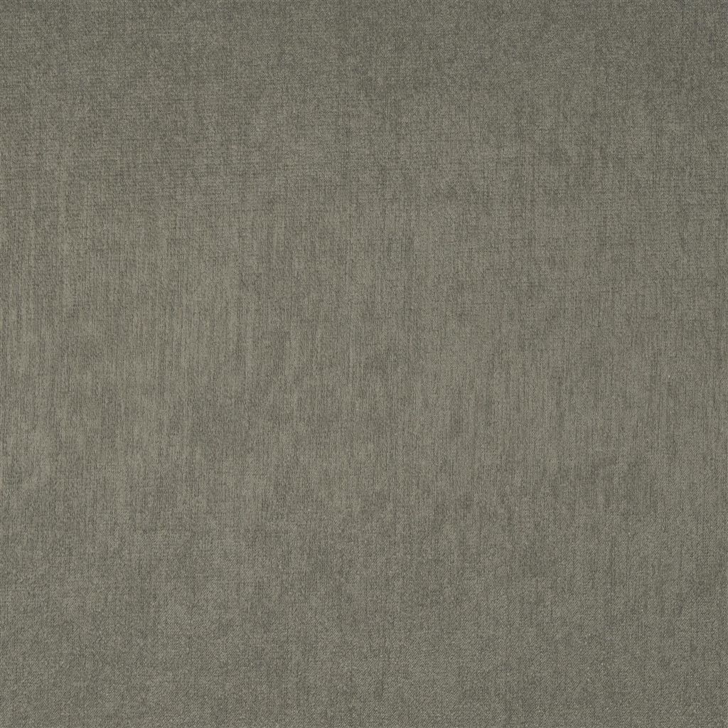 Roseau - Maduro Cutting