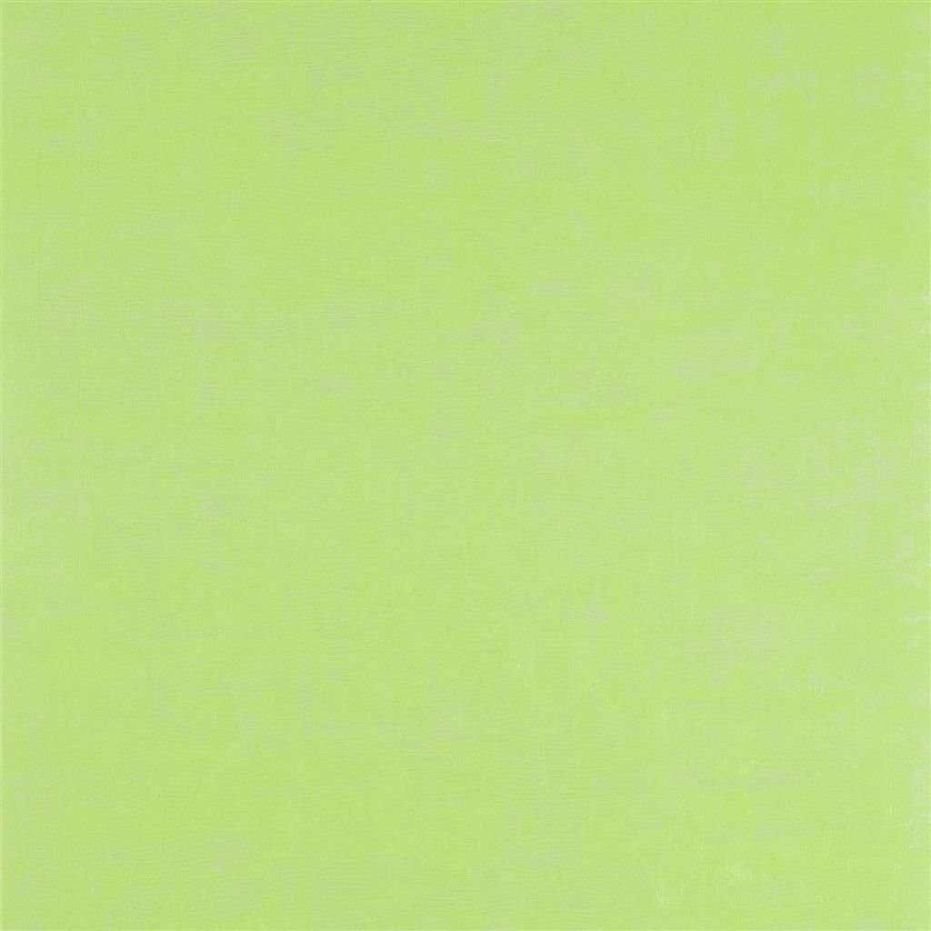 Seta - Lime Cutting