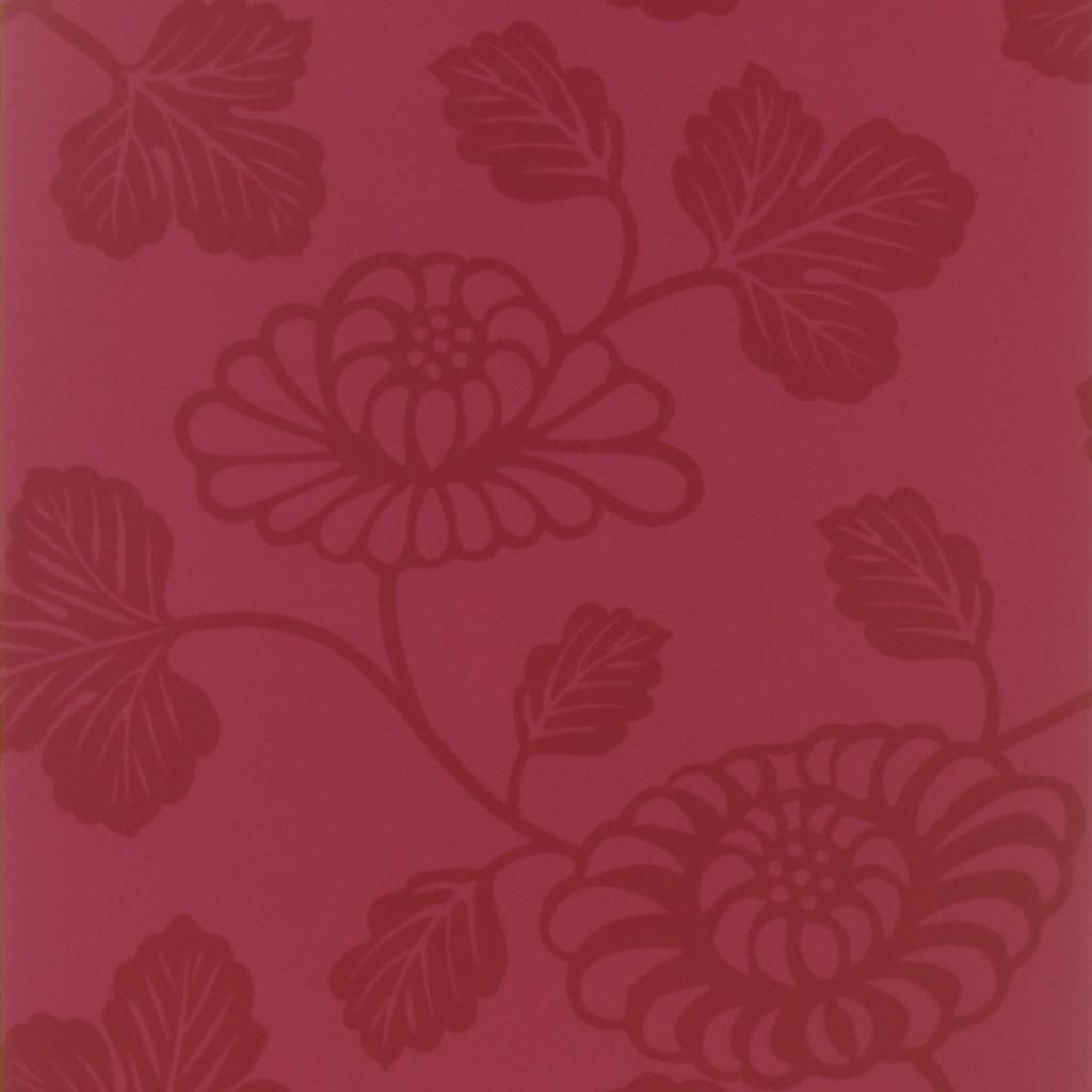 Kashima - Cranberry Cutting