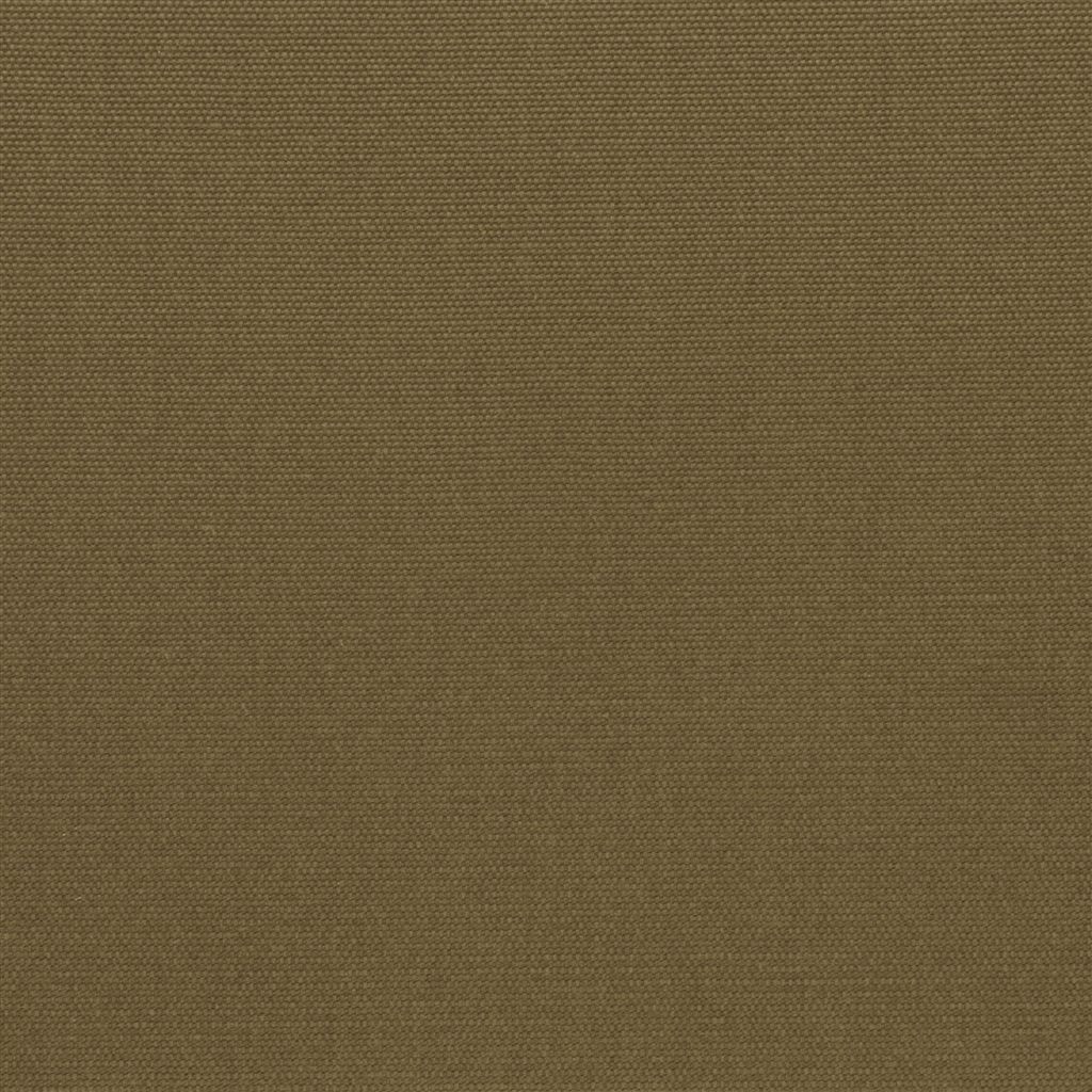 Salso - Cocoa Cutting