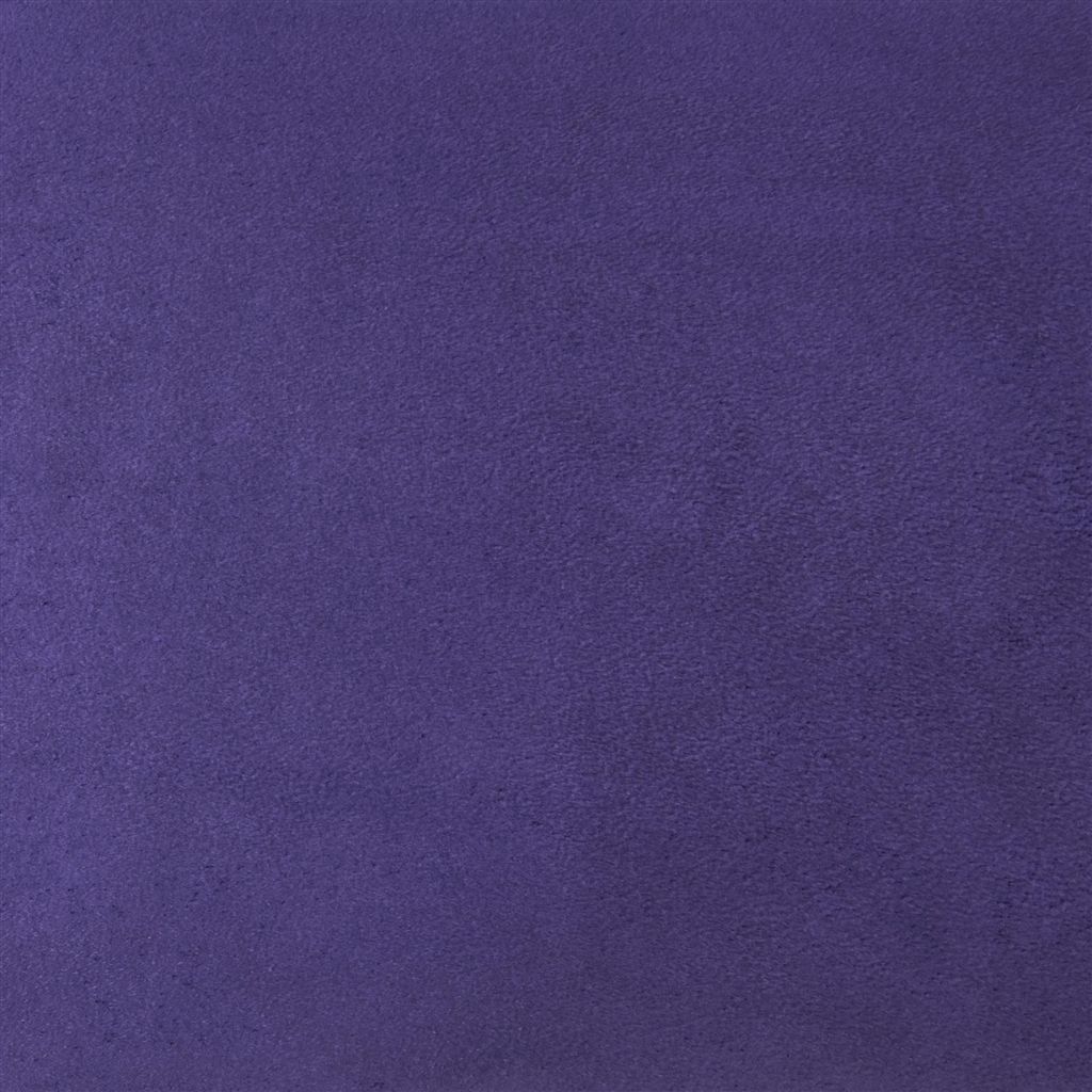 Mezzola - Aubergene Cutting