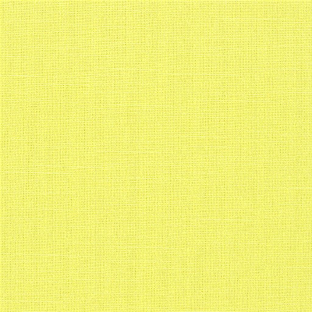 Dirillo - Lemongrass Cutting