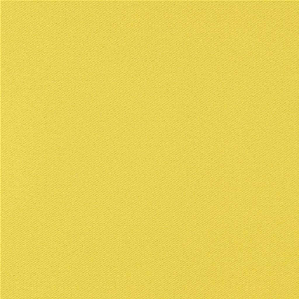 Piave - Turmeric Cutting