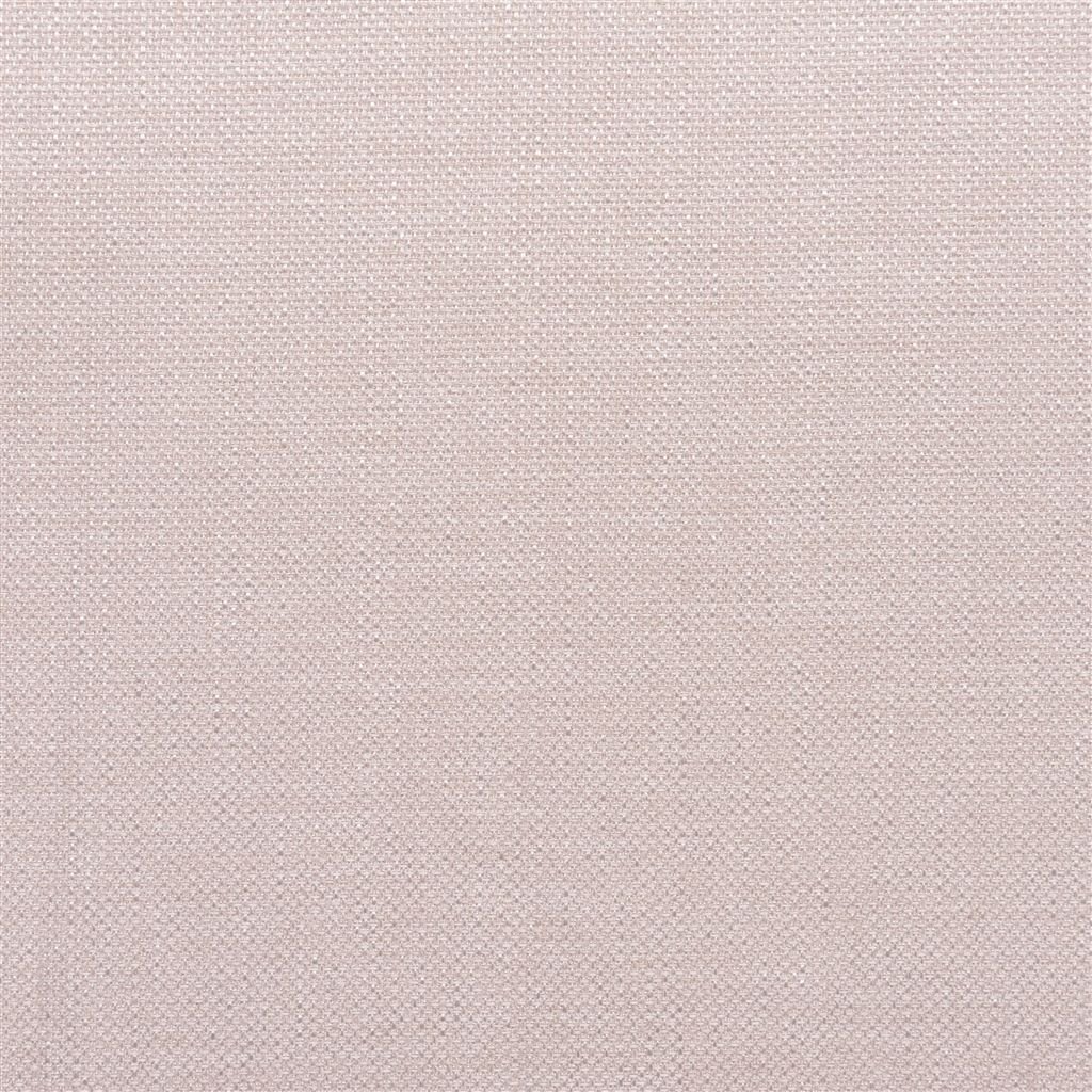 Brienno - Pale Rose Cutting