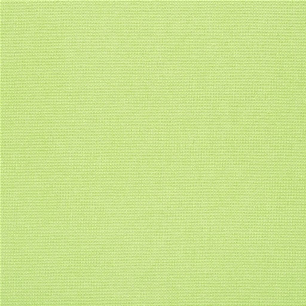 Canvas - Lime Cutting