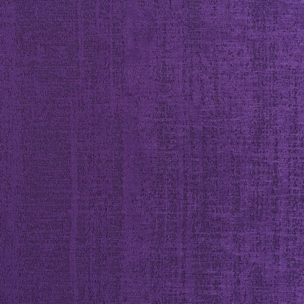 ampara violet