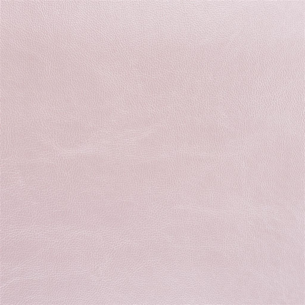 matara - blossom