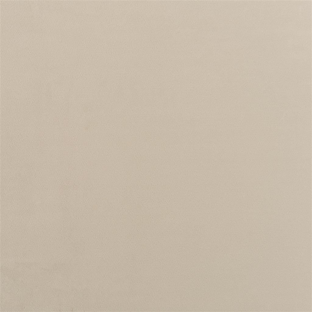 trentino - biscuit