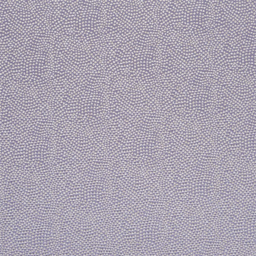 sesia - lilac
