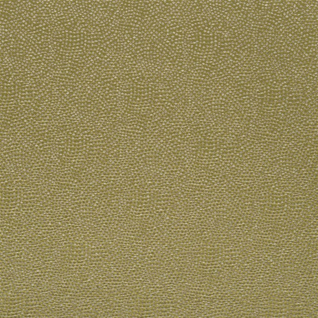 sesia - moss