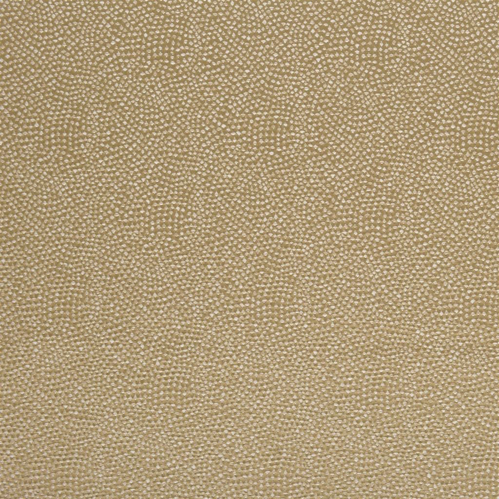 sesia - olive