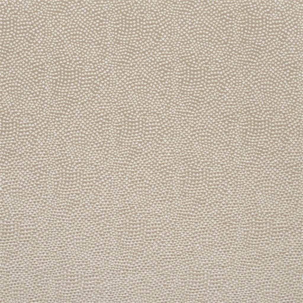 sesia - silver birch