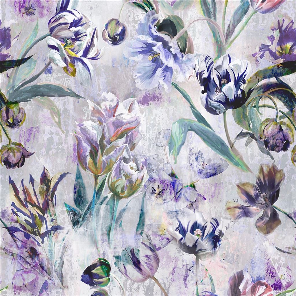 tulipa stellata - violet