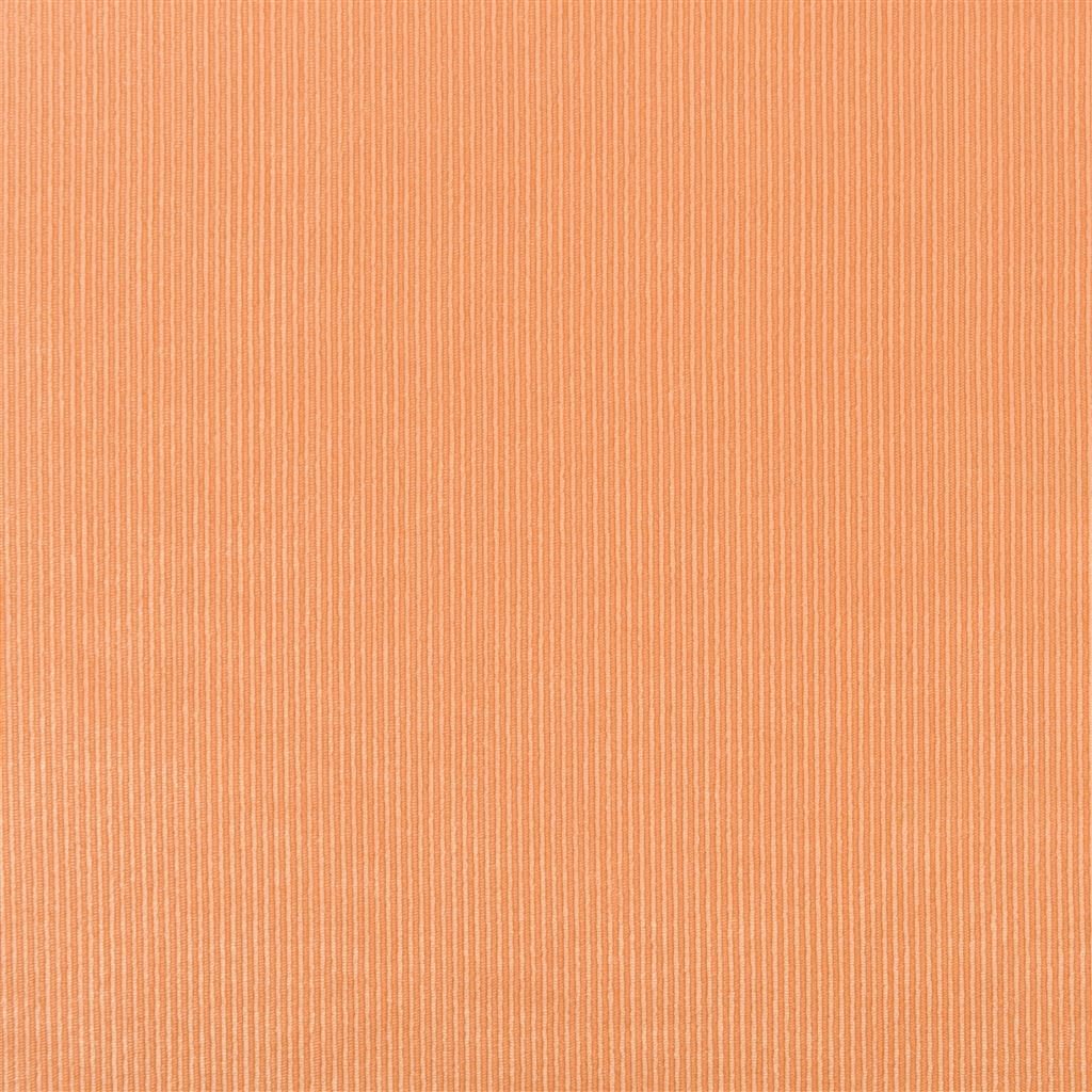 tammaro - sienna