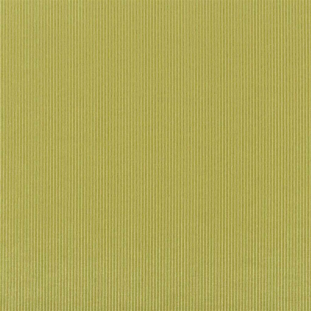 tammaro - leaf