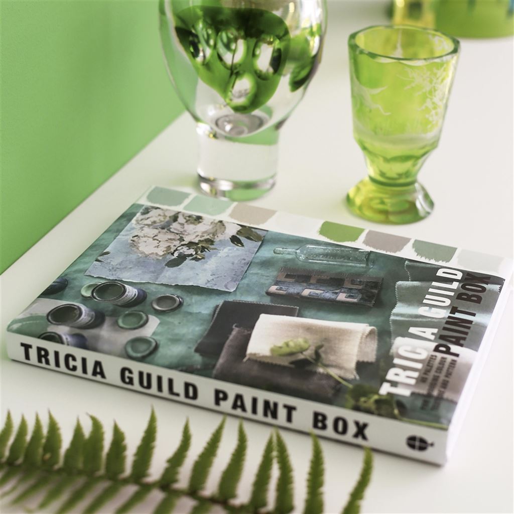 PAINT BOX (HARDBACK) ENGLISH 