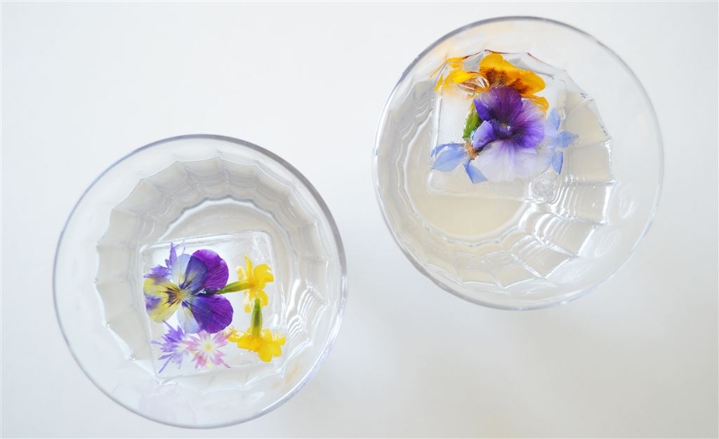 Floral ice cubes                                                      