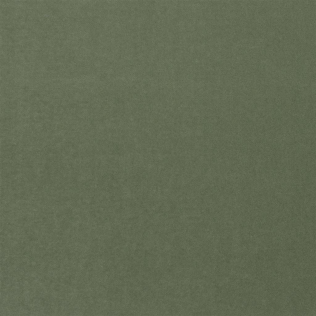 Varese Sage - Cutting