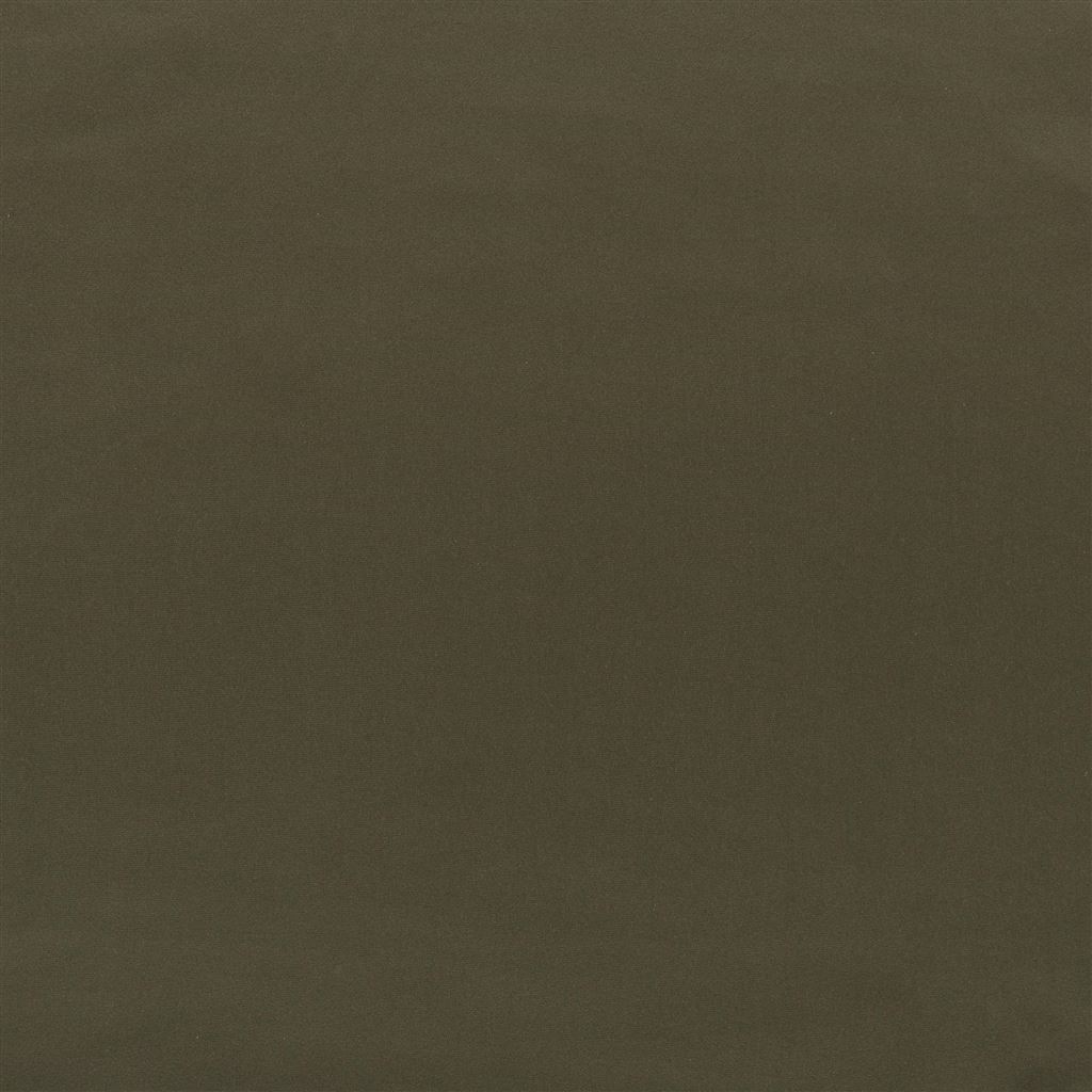 tizzoro - olive