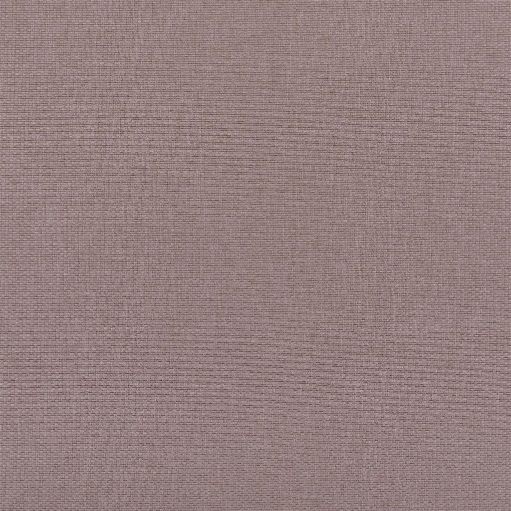 belloni - dewberry