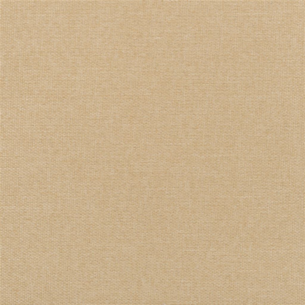 belloni - seagrass