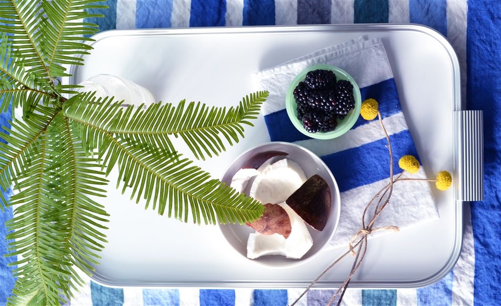 Coconut & blackberry ice lollies                                      